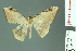  ( - RMNH.INS.14152)  @13 [ ] Unspecified (default): All Rights Reserved  Unspecified Unspecified