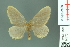  ( - RMNH.INS.14172)  @13 [ ] Unspecified (default): All Rights Reserved  Unspecified Unspecified
