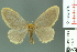  ( - RMNH.INS.14173)  @14 [ ] Unspecified (default): All Rights Reserved  Unspecified Unspecified