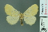  ( - RMNH.INS.14242)  @13 [ ] Unspecified (default): All Rights Reserved  Unspecified Unspecified