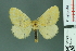  ( - RMNH.INS.14243)  @13 [ ] Unspecified (default): All Rights Reserved  Unspecified Unspecified