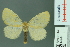  ( - RMNH.INS.14244)  @13 [ ] Unspecified (default): All Rights Reserved  Unspecified Unspecified