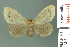  ( - RMNH.INS.14247)  @13 [ ] Unspecified (default): All Rights Reserved  Unspecified Unspecified