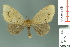  ( - RMNH.INS.14255)  @12 [ ] Unspecified (default): All Rights Reserved  Unspecified Unspecified