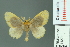  ( - RMNH.INS.14271)  @14 [ ] Unspecified (default): All Rights Reserved  Unspecified Unspecified