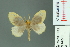  ( - RMNH.INS.14273)  @13 [ ] Unspecified (default): All Rights Reserved  Unspecified Unspecified
