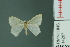  ( - RMNH.INS.14287)  @12 [ ] Unspecified (default): All Rights Reserved  Unspecified Unspecified