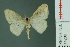  ( - RMNH.INS.14289)  @13 [ ] Unspecified (default): All Rights Reserved  Unspecified Unspecified