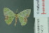  ( - RMNH.INS.14312)  @13 [ ] Unspecified (default): All Rights Reserved  Unspecified Unspecified
