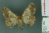  ( - RMNH.INS.14354)  @11 [ ] Unspecified (default): All Rights Reserved  Unspecified Unspecified