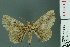  ( - RMNH.INS.14355)  @11 [ ] Unspecified (default): All Rights Reserved  Unspecified Unspecified