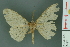  ( - RMNH.INS.14370)  @13 [ ] Unspecified (default): All Rights Reserved  Unspecified Unspecified