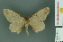  ( - RMNH.INS.14372)  @13 [ ] Unspecified (default): All Rights Reserved  Unspecified Unspecified