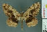  ( - RMNH.INS.14373)  @14 [ ] Unspecified (default): All Rights Reserved  Unspecified Unspecified