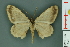  ( - RMNH.INS.14373)  @13 [ ] Unspecified (default): All Rights Reserved  Unspecified Unspecified