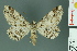  ( - RMNH.INS.14392)  @14 [ ] Unspecified (default): All Rights Reserved  Unspecified Unspecified