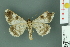  ( - RMNH.INS.14393)  @13 [ ] Unspecified (default): All Rights Reserved  Unspecified Unspecified