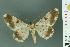  ( - RMNH.INS.14420)  @13 [ ] Unspecified (default): All Rights Reserved  Unspecified Unspecified
