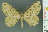  ( - RMNH.INS.14430)  @11 [ ] Unspecified (default): All Rights Reserved  Unspecified Unspecified