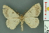  ( - RMNH.INS.14430)  @11 [ ] Unspecified (default): All Rights Reserved  Unspecified Unspecified