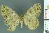  ( - RMNH.INS.14431)  @13 [ ] Unspecified (default): All Rights Reserved  Unspecified Unspecified
