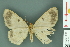  ( - RMNH.INS.14431)  @12 [ ] Unspecified (default): All Rights Reserved  Unspecified Unspecified