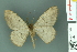  ( - RMNH.INS.14441)  @13 [ ] Unspecified (default): All Rights Reserved  Unspecified Unspecified