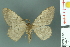  ( - RMNH.INS.14442)  @11 [ ] Unspecified (default): All Rights Reserved  Unspecified Unspecified