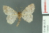  ( - RMNH.INS.14448)  @13 [ ] Unspecified (default): All Rights Reserved  Unspecified Unspecified