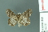  ( - RMNH.INS.14451)  @13 [ ] Unspecified (default): All Rights Reserved  Unspecified Unspecified