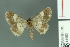  ( - RMNH.INS.14453)  @13 [ ] Unspecified (default): All Rights Reserved  Unspecified Unspecified