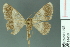  ( - RMNH.INS.14458)  @13 [ ] Unspecified (default): All Rights Reserved  Unspecified Unspecified