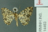  ( - RMNH.INS.14463)  @12 [ ] Unspecified (default): All Rights Reserved  Unspecified Unspecified