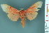  ( - RMNH.INS.14549)  @13 [ ] Unspecified (default): All Rights Reserved  Unspecified Unspecified