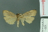  ( - RMNH.INS.14576)  @12 [ ] Unspecified (default): All Rights Reserved  Unspecified Unspecified