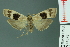  ( - RMNH.INS.14578)  @14 [ ] Unspecified (default): All Rights Reserved  Unspecified Unspecified