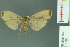  ( - RMNH.INS.14590)  @13 [ ] Unspecified (default): All Rights Reserved  Unspecified Unspecified