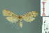  ( - RMNH.INS.14591)  @13 [ ] Unspecified (default): All Rights Reserved  Unspecified Unspecified