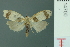  ( - RMNH.INS.14700)  @13 [ ] Unspecified (default): All Rights Reserved  Unspecified Unspecified