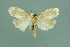  ( - RMNH.INS.14700)  @13 [ ] Unspecified (default): All Rights Reserved  Unspecified Unspecified