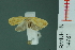  ( - RMNH.INS.14781)  @12 [ ] Unspecified (default): All Rights Reserved  Unspecified Unspecified