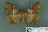  ( - RMNH.INS.14826)  @14 [ ] Unspecified (default): All Rights Reserved  Unspecified Unspecified