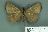  ( - RMNH.INS.14831)  @13 [ ] Unspecified (default): All Rights Reserved  Unspecified Unspecified