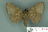  ( - RMNH.INS.14832)  @13 [ ] Unspecified (default): All Rights Reserved  Unspecified Unspecified