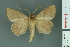  ( - RMNH.INS.14901)  @11 [ ] Unspecified (default): All Rights Reserved  Unspecified Unspecified