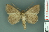  ( - RMNH.INS.14902)  @11 [ ] Unspecified (default): All Rights Reserved  Unspecified Unspecified