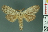  ( - RMNH.INS.14986)  @14 [ ] Unspecified (default): All Rights Reserved  Unspecified Unspecified