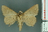  ( - RMNH.INS.14907)  @11 [ ] Unspecified (default): All Rights Reserved  Unspecified Unspecified