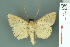  ( - RMNH.INS.14912)  @13 [ ] Unspecified (default): All Rights Reserved  Unspecified Unspecified