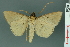  ( - RMNH.INS.14913)  @13 [ ] Unspecified (default): All Rights Reserved  Unspecified Unspecified
